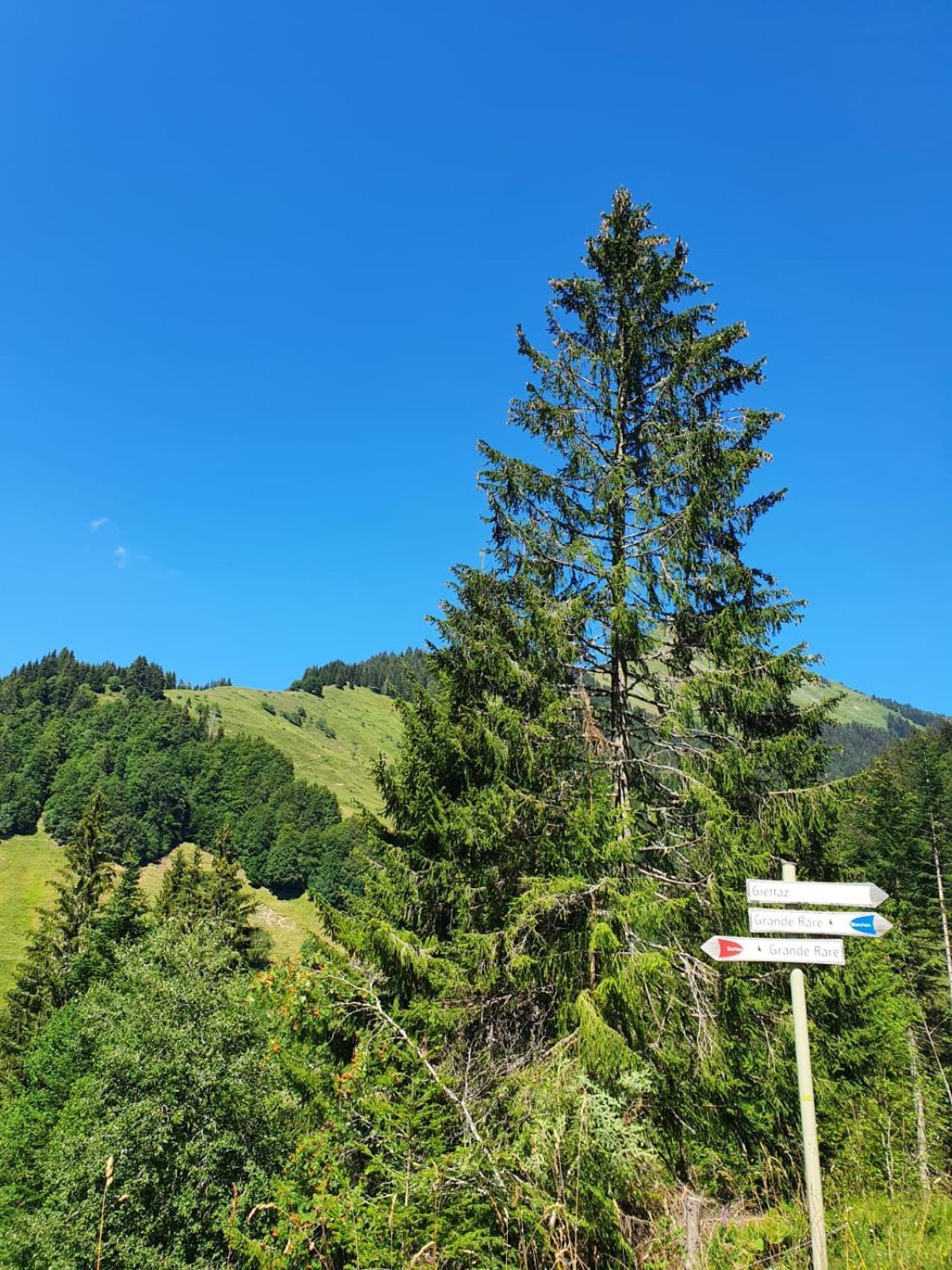 Appartement La Duchere Le Plan-La Giettaz Massif Des Aravis Екстериор снимка